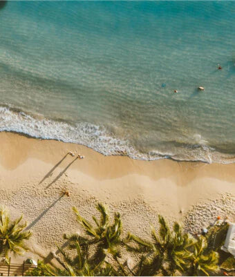 Beach scene with clear blue water and sandy shore, palm trees in the foreground.